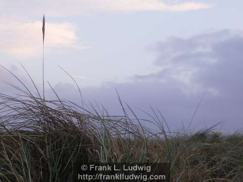 Killaspugbrone, County Sligo